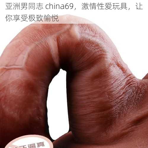 亚洲男同志 china69，激情性爱玩具，让你享受极致愉悦