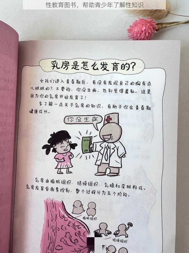 性教育图书，帮助青少年了解性知识