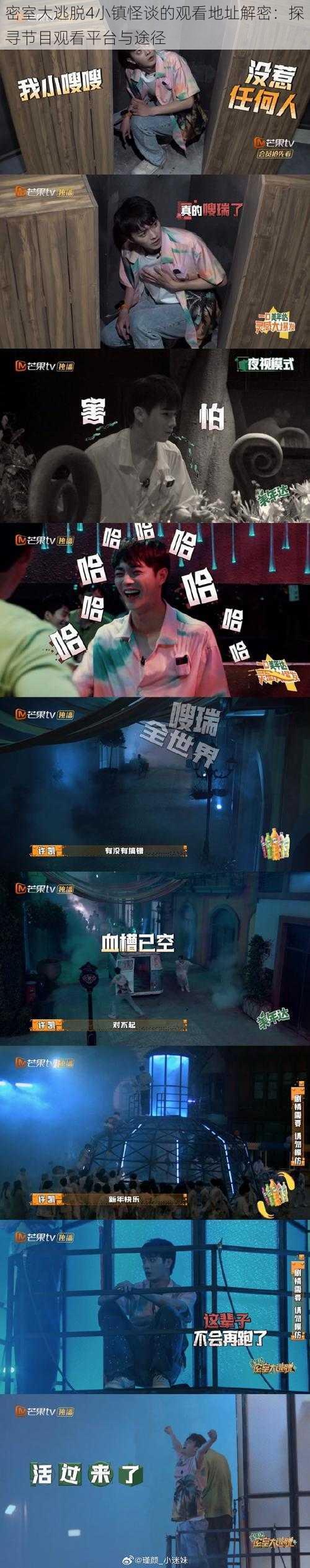 密室大逃脱4小镇怪谈的观看地址解密：探寻节目观看平台与途径