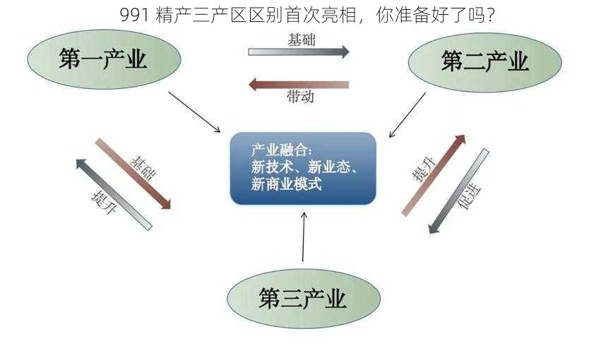 991 精产三产区区别首次亮相，你准备好了吗？