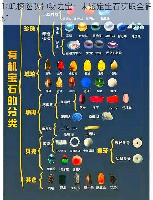 咔叽探险队神秘之宝：未鉴定宝石获取全解析