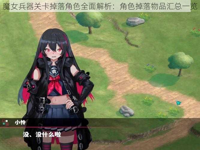 魔女兵器关卡掉落角色全面解析：角色掉落物品汇总一览