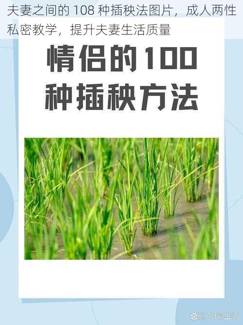 夫妻之间的 108 种插秧法图片，成人两性私密教学，提升夫妻生活质量