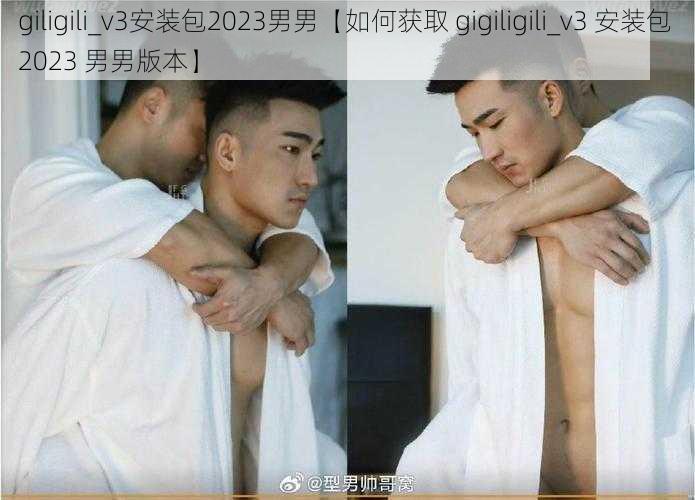 giligili_v3安装包2023男男【如何获取 gigiligili_v3 安装包 2023 男男版本】