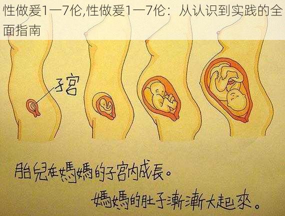 性做爰1一7伦,性做爰1一7伦：从认识到实践的全面指南