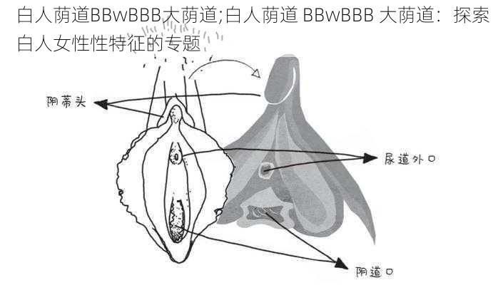 白人荫道BBwBBB大荫道;白人荫道 BBwBBB 大荫道：探索白人女性性特征的专题