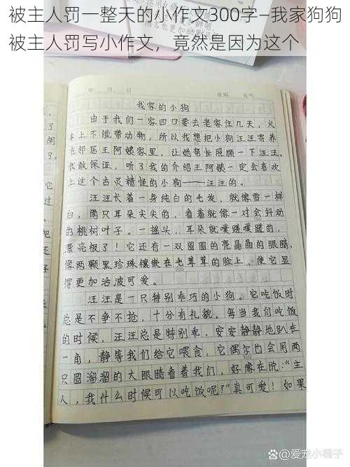 被主人罚一整天的小作文300字—我家狗狗被主人罚写小作文，竟然是因为这个