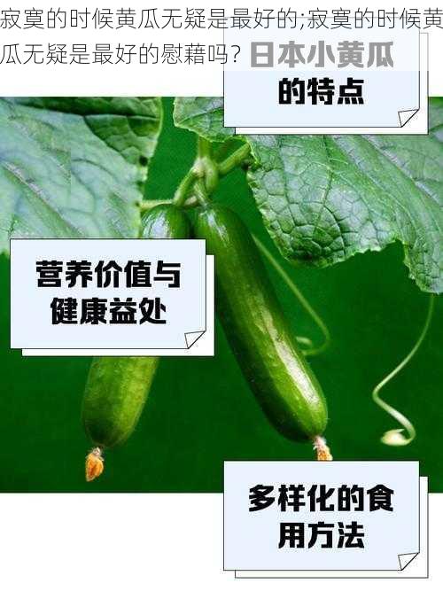 寂寞的时候黄瓜无疑是最好的;寂寞的时候黄瓜无疑是最好的慰藉吗？