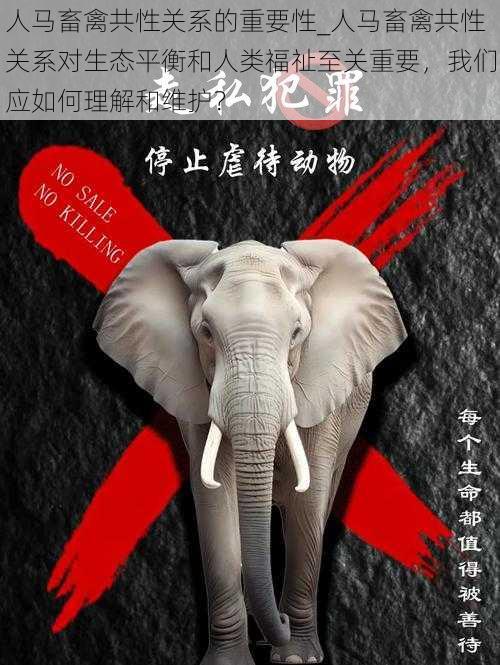 人马畜禽共性关系的重要性_人马畜禽共性关系对生态平衡和人类福祉至关重要，我们应如何理解和维护？