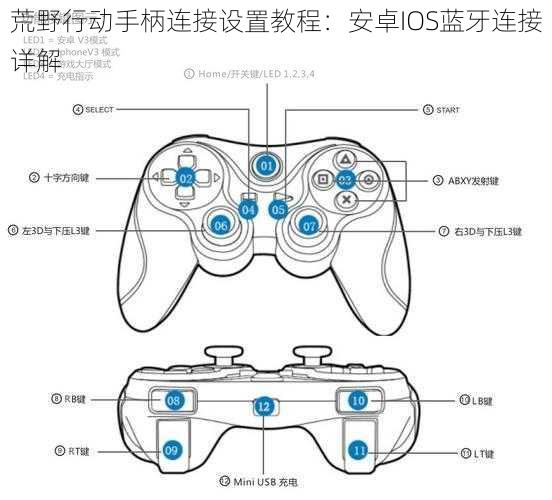 荒野行动手柄连接设置教程：安卓IOS蓝牙连接详解