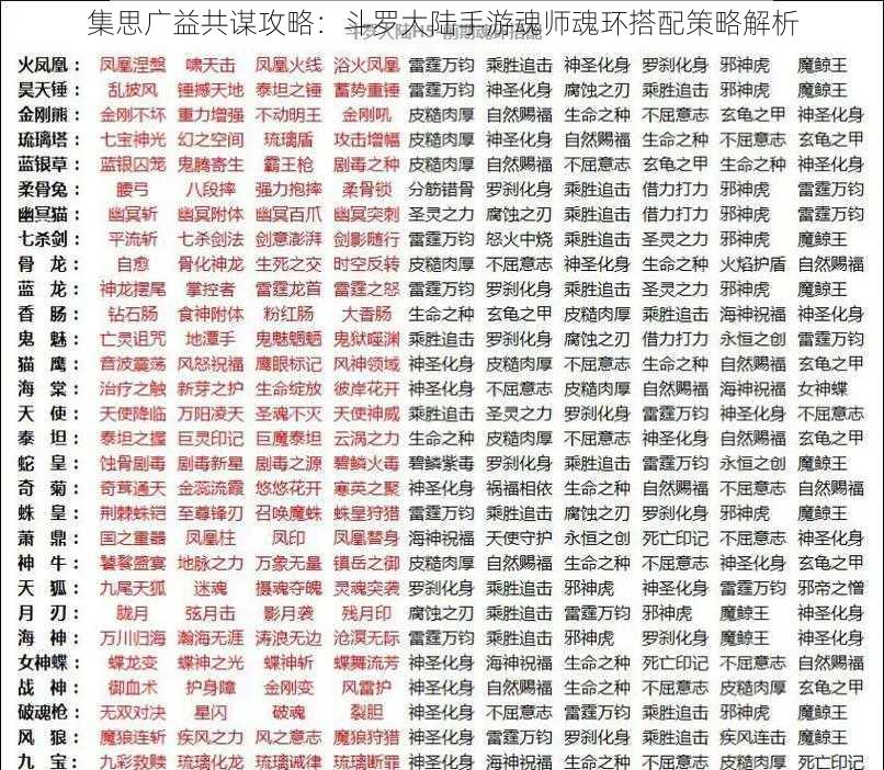 集思广益共谋攻略：斗罗大陆手游魂师魂环搭配策略解析