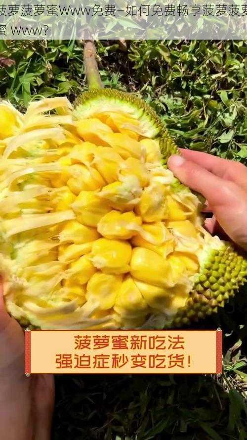 菠萝菠萝蜜Www免费—如何免费畅享菠萝菠萝蜜 Www？