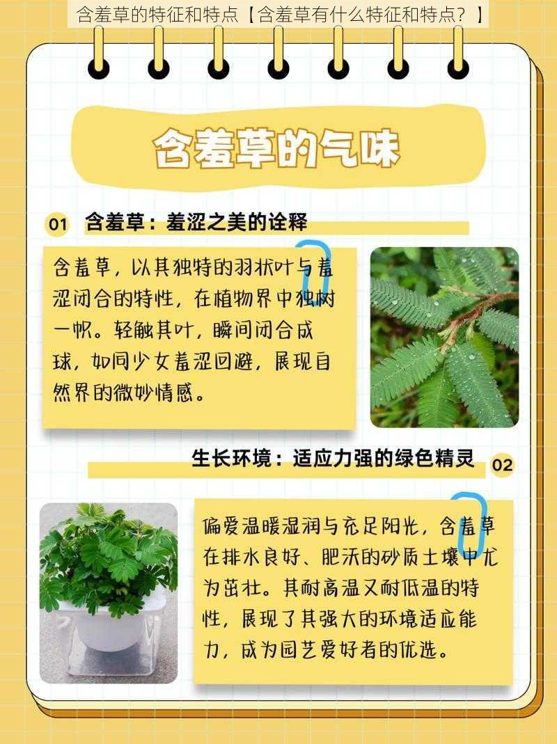 含羞草的特征和特点【含羞草有什么特征和特点？】