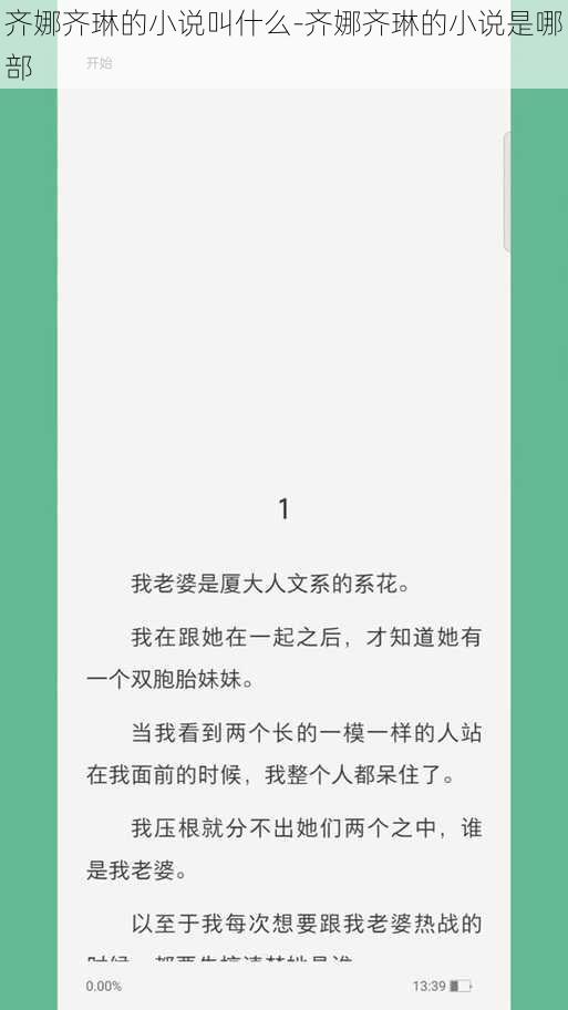 齐娜齐琳的小说叫什么-齐娜齐琳的小说是哪部