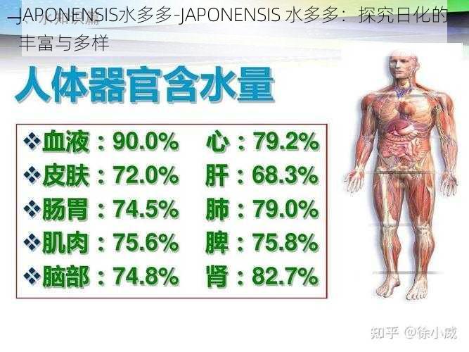 JAPONENSIS水多多-JAPONENSIS 水多多：探究日化的丰富与多样