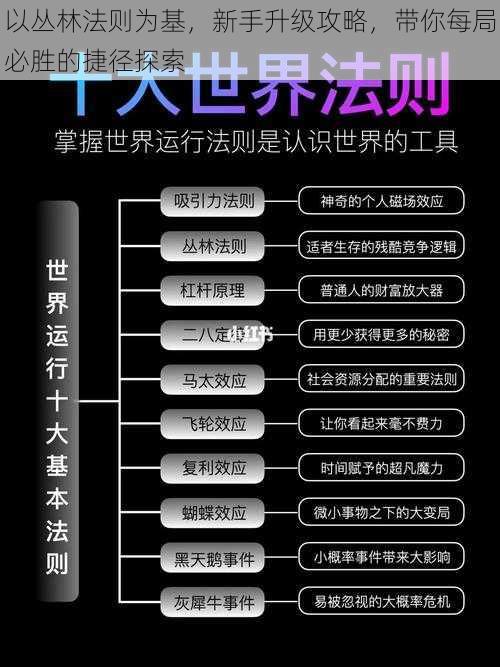 以丛林法则为基，新手升级攻略，带你每局必胜的捷径探索