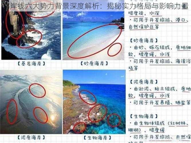 海岸线六大势力背景深度解析：揭秘实力格局与影响力量