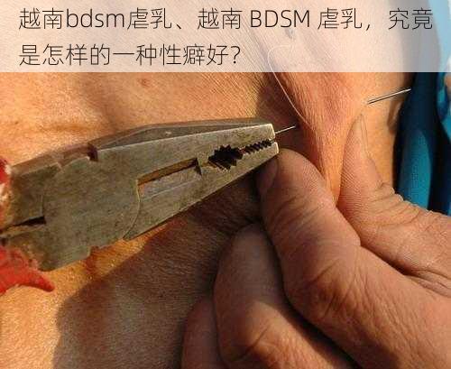 越南bdsm虐乳、越南 BDSM 虐乳，究竟是怎样的一种性癖好？