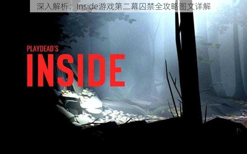 深入解析：Inside游戏第二幕囚禁全攻略图文详解