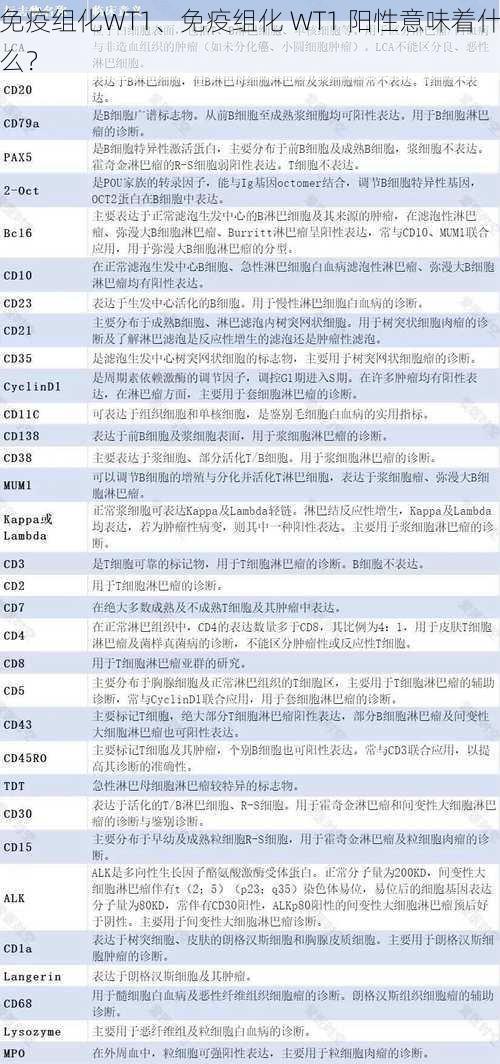 免疫组化WT1、免疫组化 WT1 阳性意味着什么？