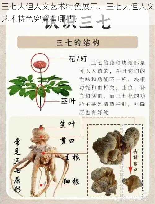 三七大但人文艺术特色展示、三七大但人文艺术特色究竟有哪些？