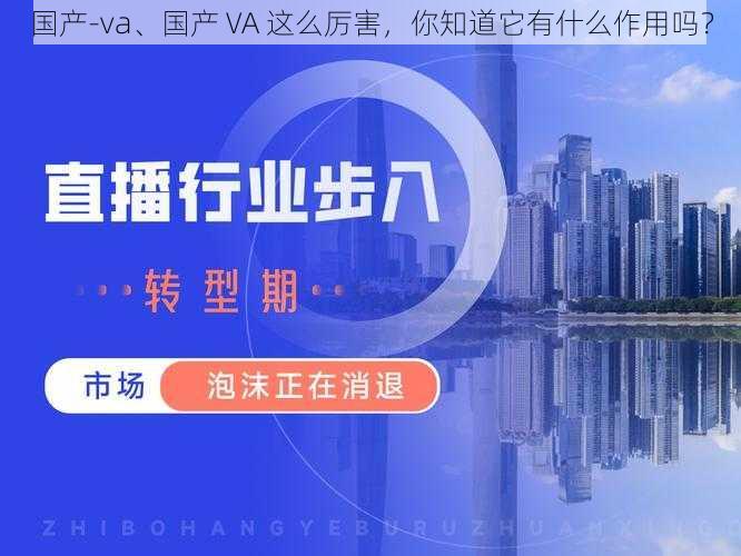 国产-va、国产 VA 这么厉害，你知道它有什么作用吗？