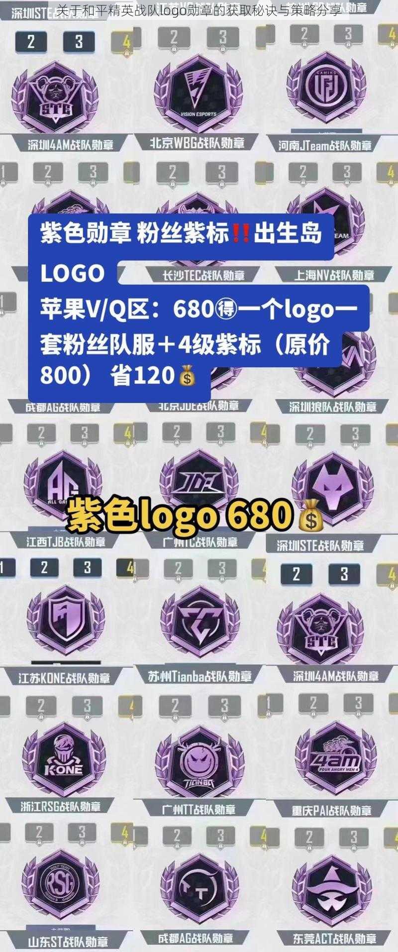 关于和平精英战队logo勋章的获取秘诀与策略分享