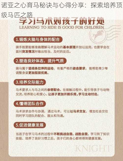 诺亚之心育马秘诀与心得分享：探索培养顶级马匹之路