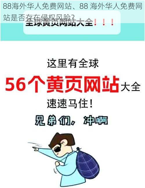 88海外华人免费网站、88 海外华人免费网站是否存在侵权风险？