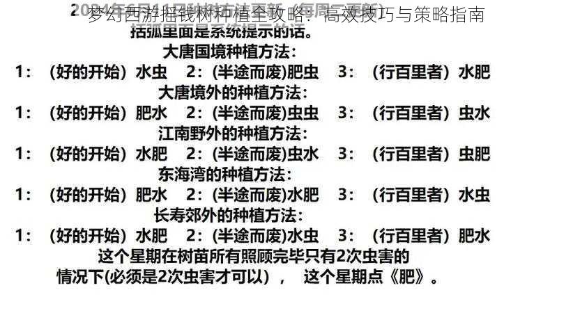 梦幻西游摇钱树种植全攻略：高效技巧与策略指南