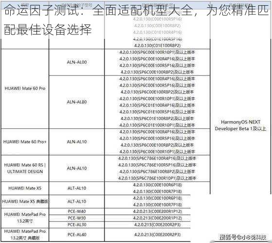 命运因子测试：全面适配机型大全，为您精准匹配最佳设备选择