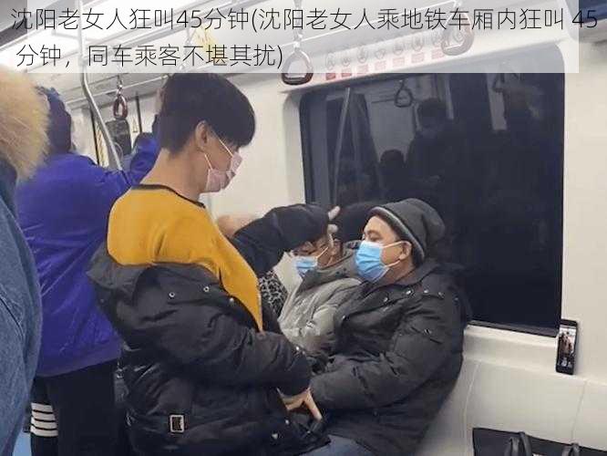 沈阳老女人狂叫45分钟(沈阳老女人乘地铁车厢内狂叫 45 分钟，同车乘客不堪其扰)