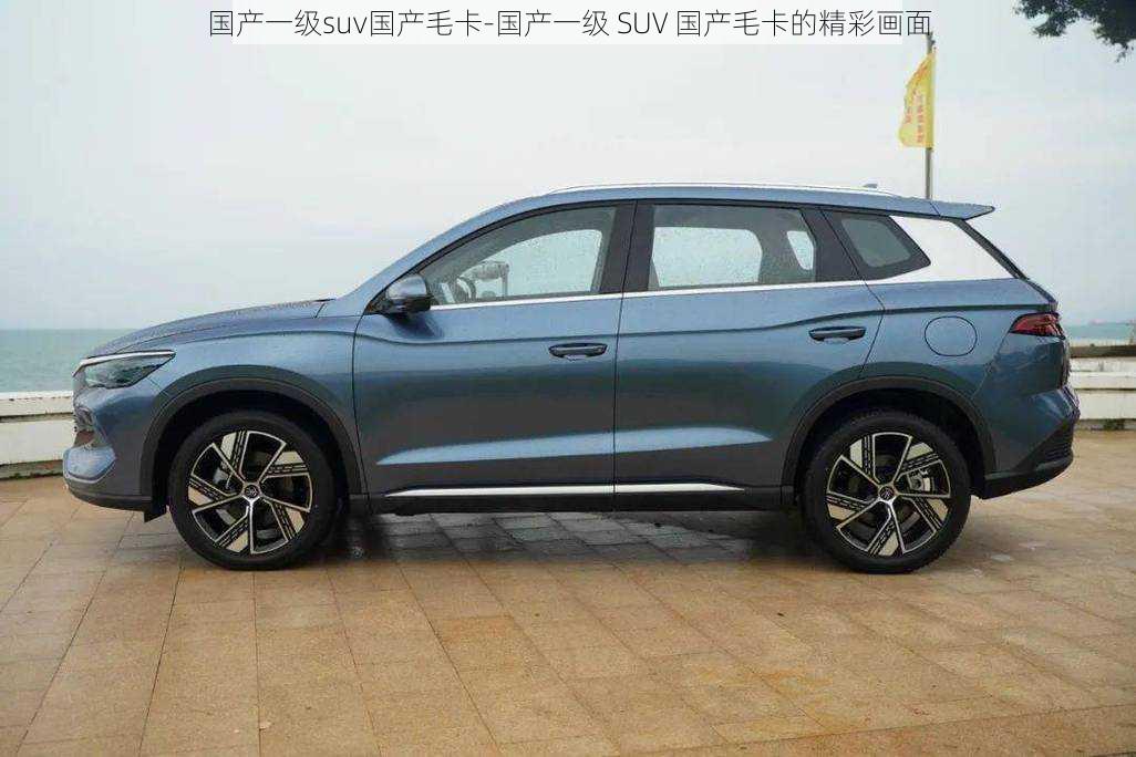 国产一级suv国产毛卡-国产一级 SUV 国产毛卡的精彩画面