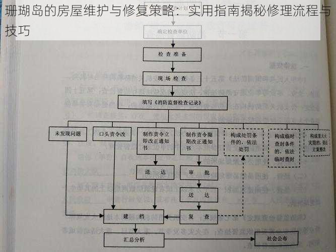 珊瑚岛的房屋维护与修复策略：实用指南揭秘修理流程与技巧