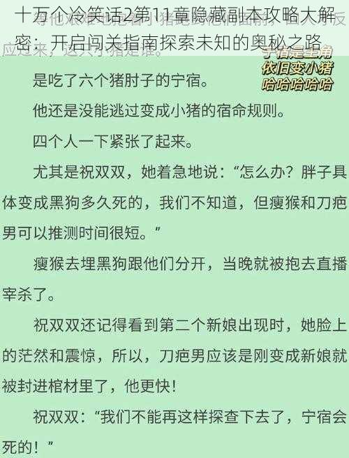 十万个冷笑话2第11章隐藏副本攻略大解密：开启闯关指南探索未知的奥秘之路