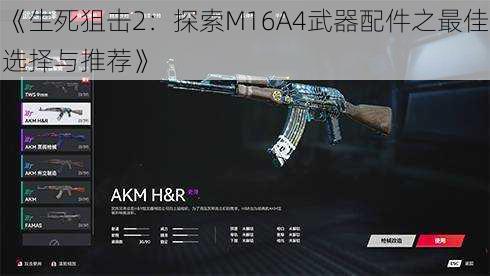 《生死狙击2：探索M16A4武器配件之最佳选择与推荐》