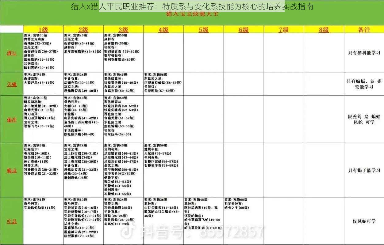 猎人x猎人平民职业推荐：特质系与变化系技能为核心的培养实战指南