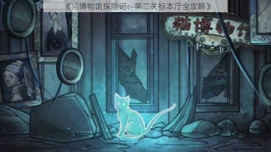 《猫博物馆探险记：第二关标本厅全攻略》