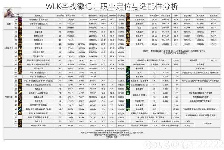 WLK圣战徽记：职业定位与适配性分析