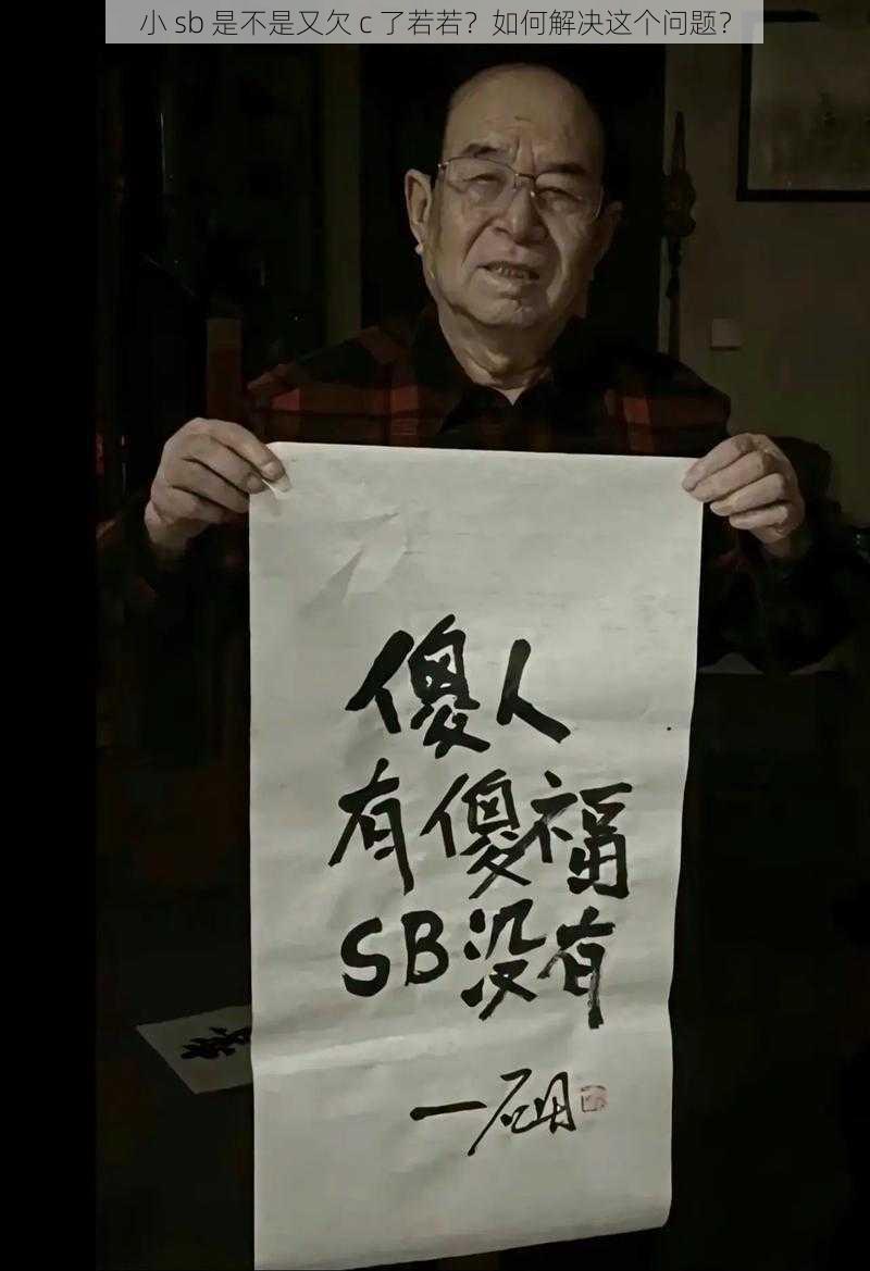 小 sb 是不是又欠 c 了若若？如何解决这个问题？