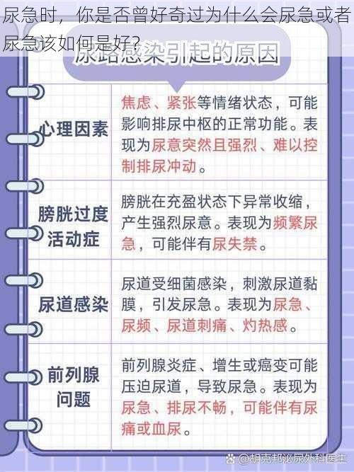 尿急时，你是否曾好奇过为什么会尿急或者尿急该如何是好？