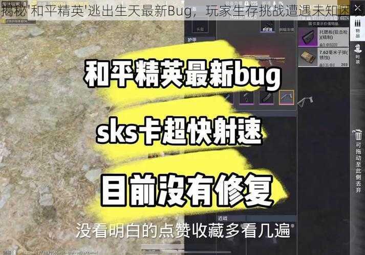 揭秘'和平精英'逃出生天最新Bug，玩家生存挑战遭遇未知困境