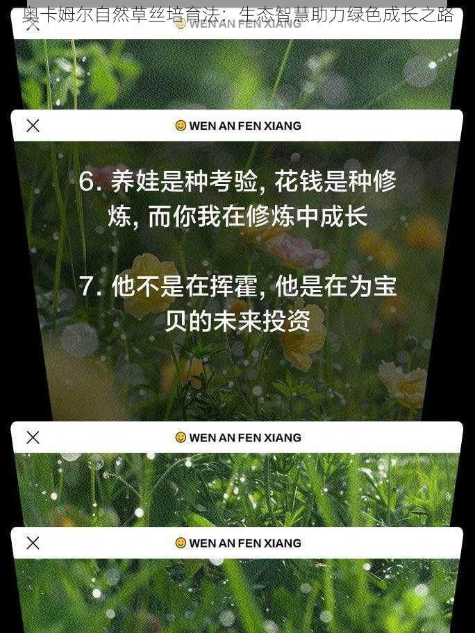 奥卡姆尔自然草丝培育法：生态智慧助力绿色成长之路