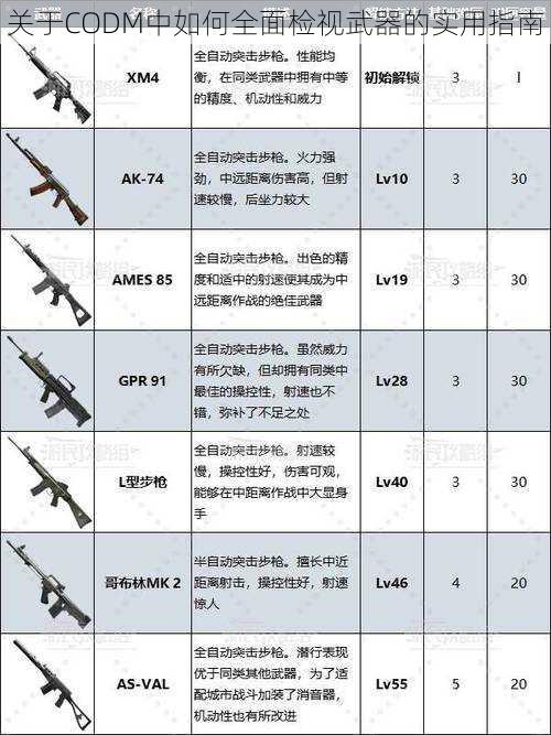 关于CODM中如何全面检视武器的实用指南