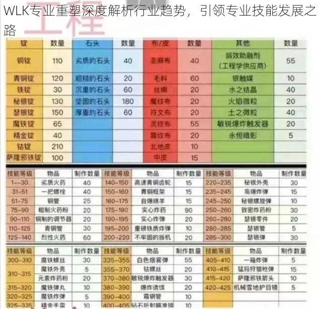 WLK专业重塑深度解析行业趋势，引领专业技能发展之路