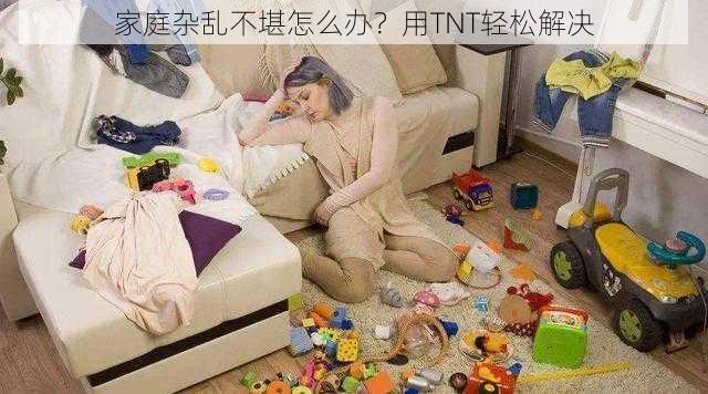 家庭杂乱不堪怎么办？用TNT轻松解决