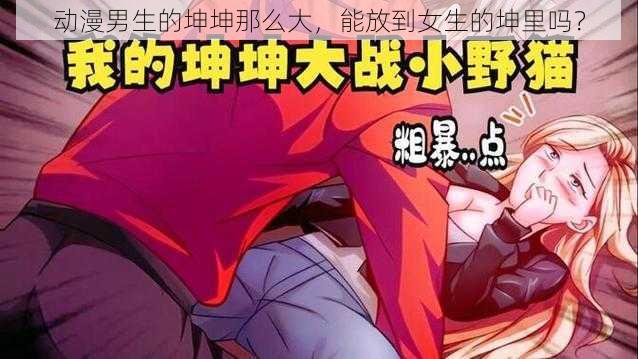 动漫男生的坤坤那么大，能放到女生的坤里吗？