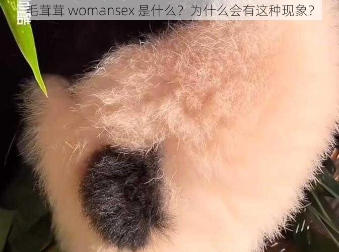 毛茸茸 womansex 是什么？为什么会有这种现象？