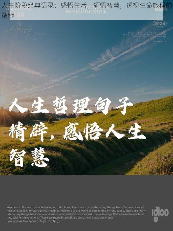 人生阶段经典语录：感悟生活，领悟智慧，透视生命旅程的精髓