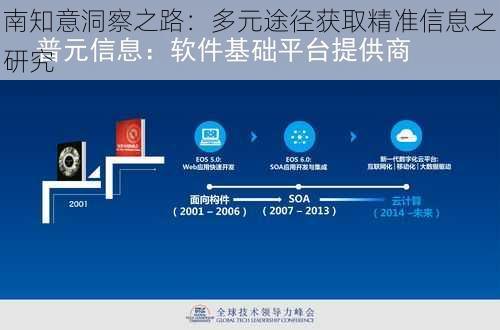 南知意洞察之路：多元途径获取精准信息之研究